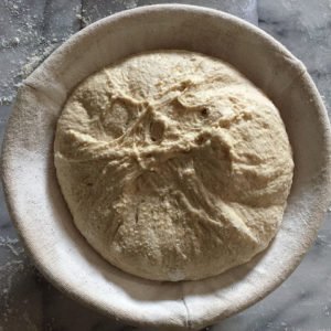 bread dough banneton sourdough